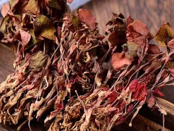 سوپر درجه خشک شده Anoectochilus Roxburghii به بازارهای تخصصی می رسد